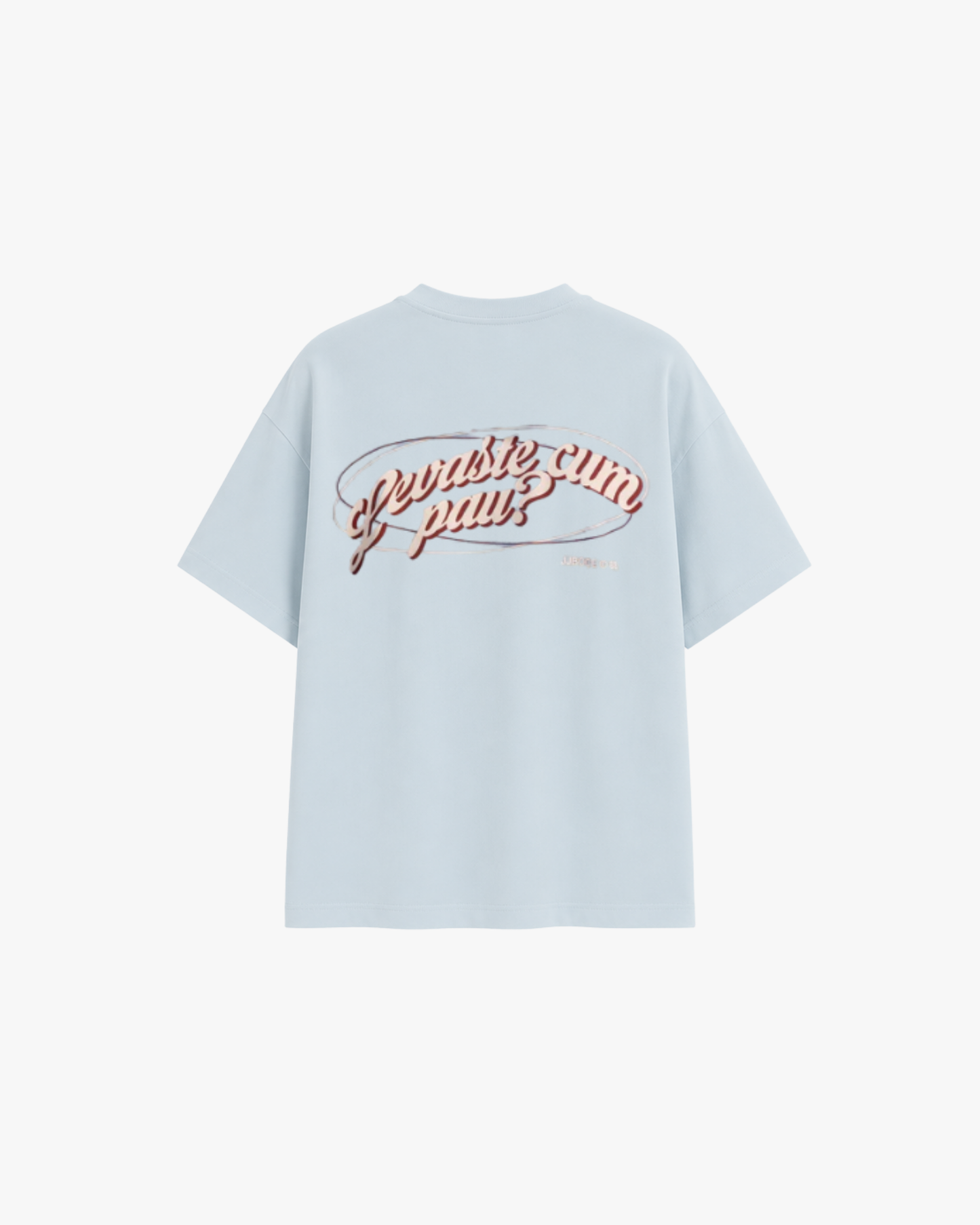 T-SHIRT LEVASTE CUM PAU? - JJBóçe