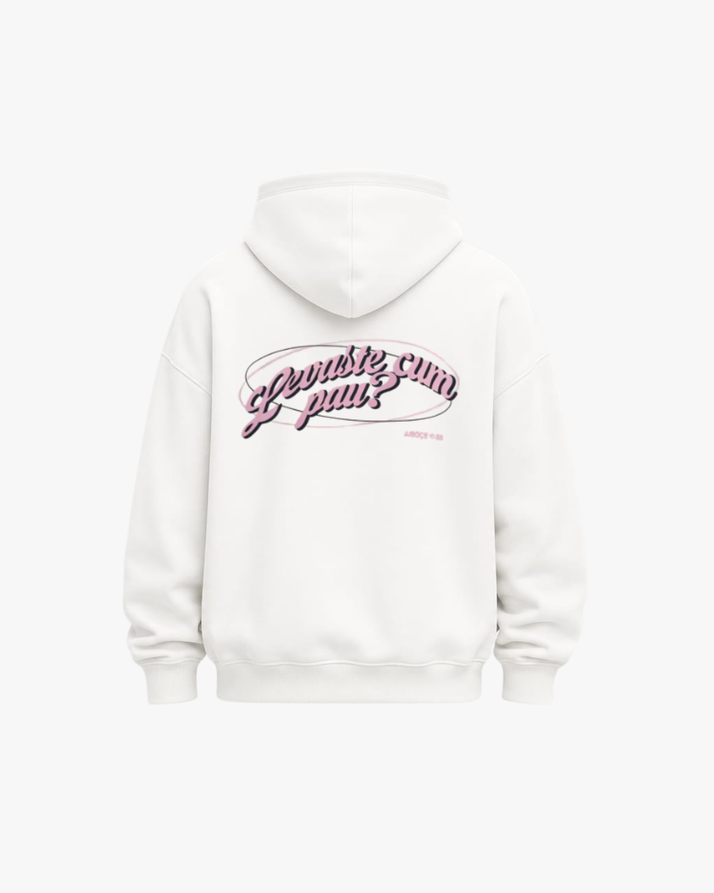 HOODIE LEVASTE CUM PAU? - JJBóçe