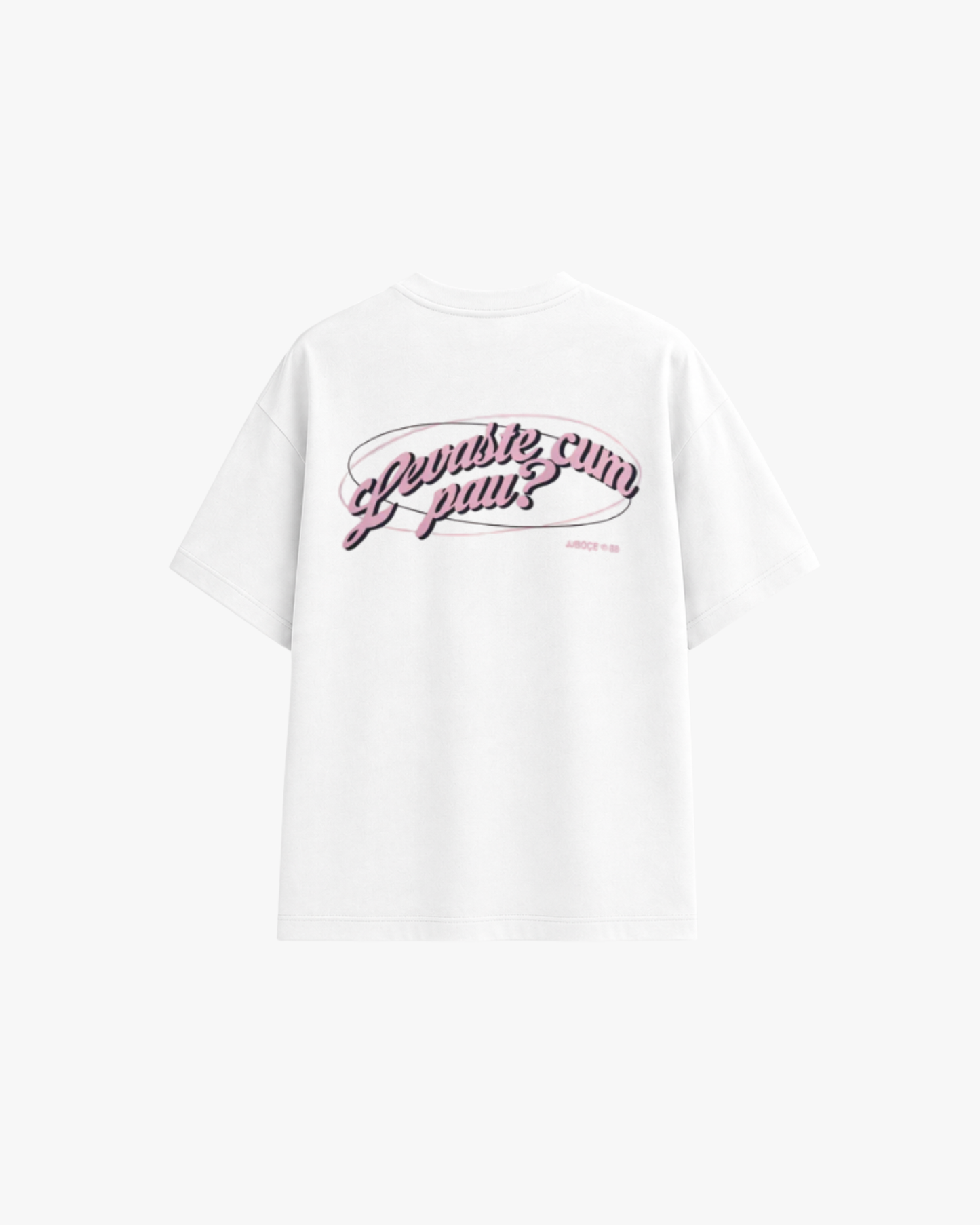 T-SHIRT LEVASTE CUM PAU? - JJBóçe